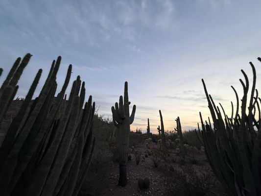 Papago Park by null
