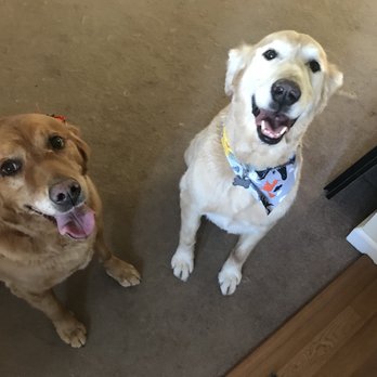 The Holistic Paw - Pet Groomers Near Me - Roseville, California