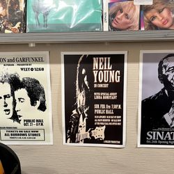Fat Dog Vinyl - Music Posters
