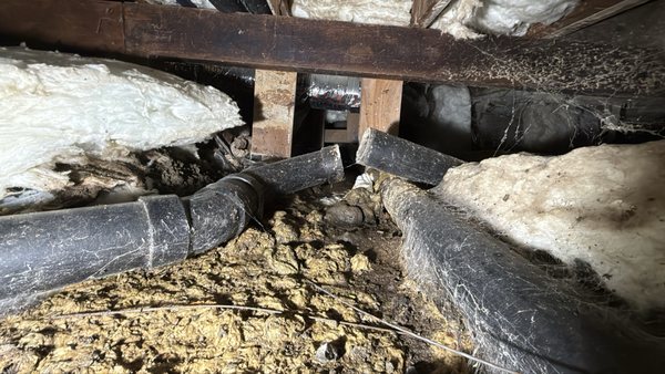 Call for Emergency Mold Cleanup & Restoration - When disaster strikes, our emergency response team acts fast to contain and eliminate mold. We provide 24/7 service, swift assessment, detailed documentation, and complete mold remediation and sanitation to return your property to pre-loss condition—quickly and efficiently.