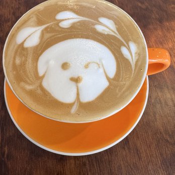Cocohodo - Latte - Coffee & Tea Near Me - Katy, Texas