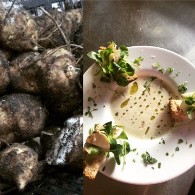 Café Botanico by null