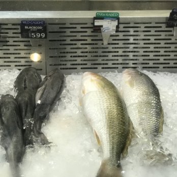 H Mart - Houston - Fish - Grocery Near Me - Houston, Texas H Mart - Houston - Fish - Grocery Near Me - Houston, Texas