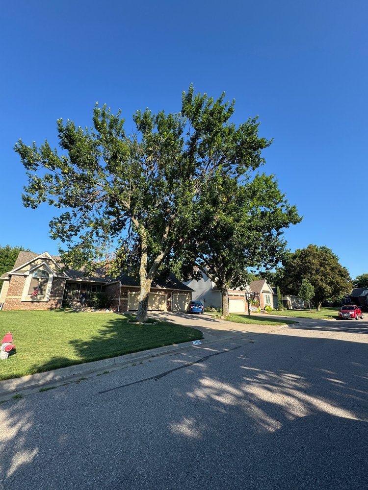 Deadwood Tree and Limb Service - tree service in Wichita, KS