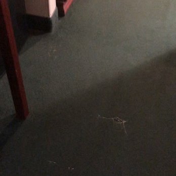 Clarion Hotel - Downtown - University Area - Ripped beat up carpet - Hotels Near Me - Oneonta, New York