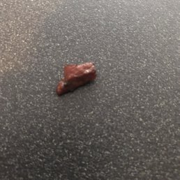 a rock on the ground