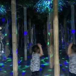 Reptilia - Laser mirror maze