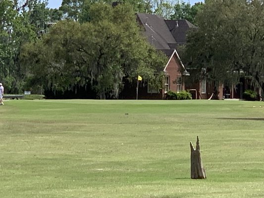 GRAND RIDGE GOLF CLUB - Updated January 2026 - 16 Photos & 13 Reviews ...