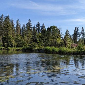 Nevada County Fairgrounds - Lions Lake at the campground - Festivals Near Me - Grass Valley, California
