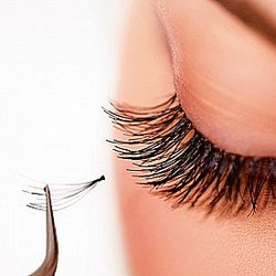 Beau Lash