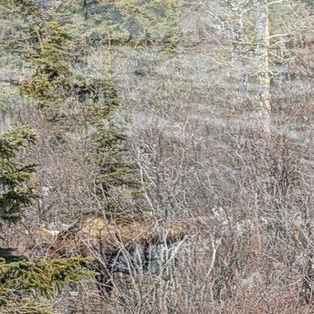 Denali National Park - Hiking Near Me - Mckinley Park, Alaska