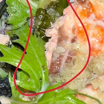54 Restaurant - Grilled Salmon Salad - Asian Fusion Near Me - Springfield, Virginia 54 Restaurant - Grilled Salmon Salad - Asian Fusion Near Me - Springfield, Virginia