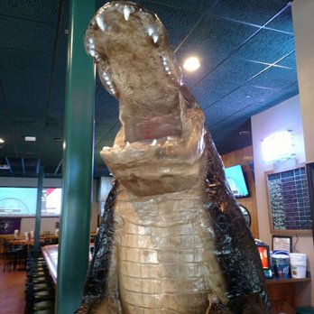 Gator's Dockside Ocala - Gator gonna get cha - American Near Me - Ocala, Florida Gator's Dockside Ocala - Gator gonna get cha - American Near Me - Ocala, Florida