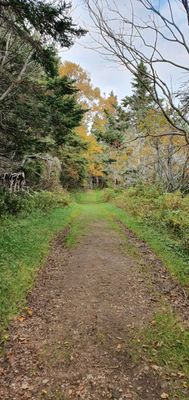 Forillon National Park by null