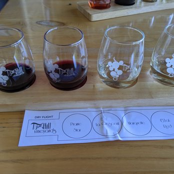Tug Hill Vineyards - Dry flight. - Wineries Near Me - Lowville, New York