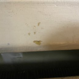 What appears to be mucus What appears to be mucus