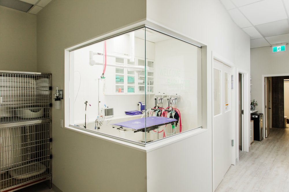 THE BARN DOOR VETERINARY CARE Updated August 2024 10 Photos 1410