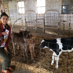 Apple Valley Creamery