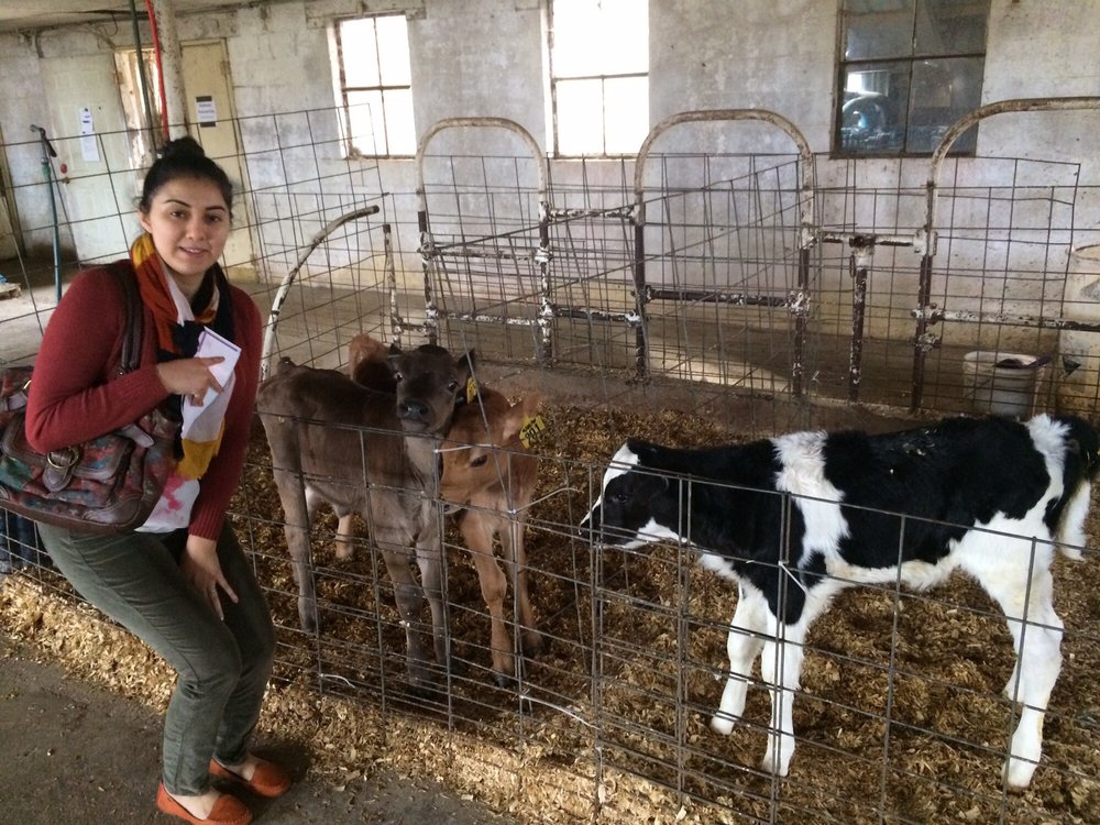 APPLE VALLEY CREAMERY Updated September 2024 13 Photos 541