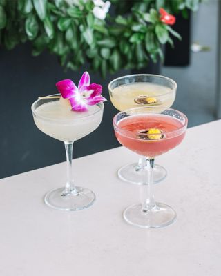Moxies Miami Restaurant by null