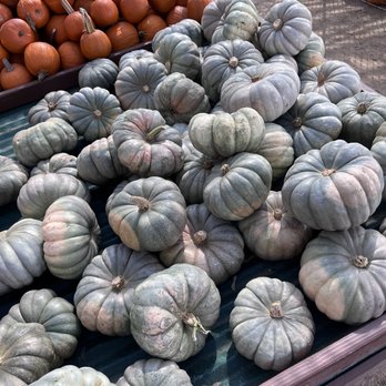 Forneris Farms - a pile of pumpkins - Farmers Market Near Me - Mission Hills, California Forneris Farms - a pile of pumpkins - Farmers Market Near Me - Mission Hills, California