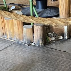 Green Tea - Filthy floors!