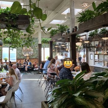 Fern Bar - The vibe is great. All plants and flames are real. They went in with authentic love and attention to detail. - Bars Near Me - Sebastopol, California