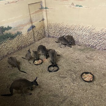 Gladys Porter Zoo - Zoos Near Me - Brownsville, Texas
