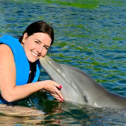 Delphinus