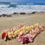 Photo of Cucina
