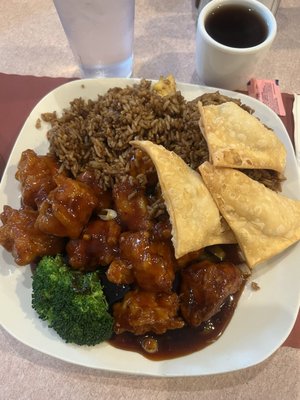 North Garden by null