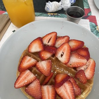 Bulegreen Cafe Yard - OMG Waffle no chocolate no bananas - Cafes Near Me - Oakland Park, Florida Bulegreen Cafe Yard - OMG Waffle no chocolate no bananas - Cafes Near Me - Oakland Park, Florida
