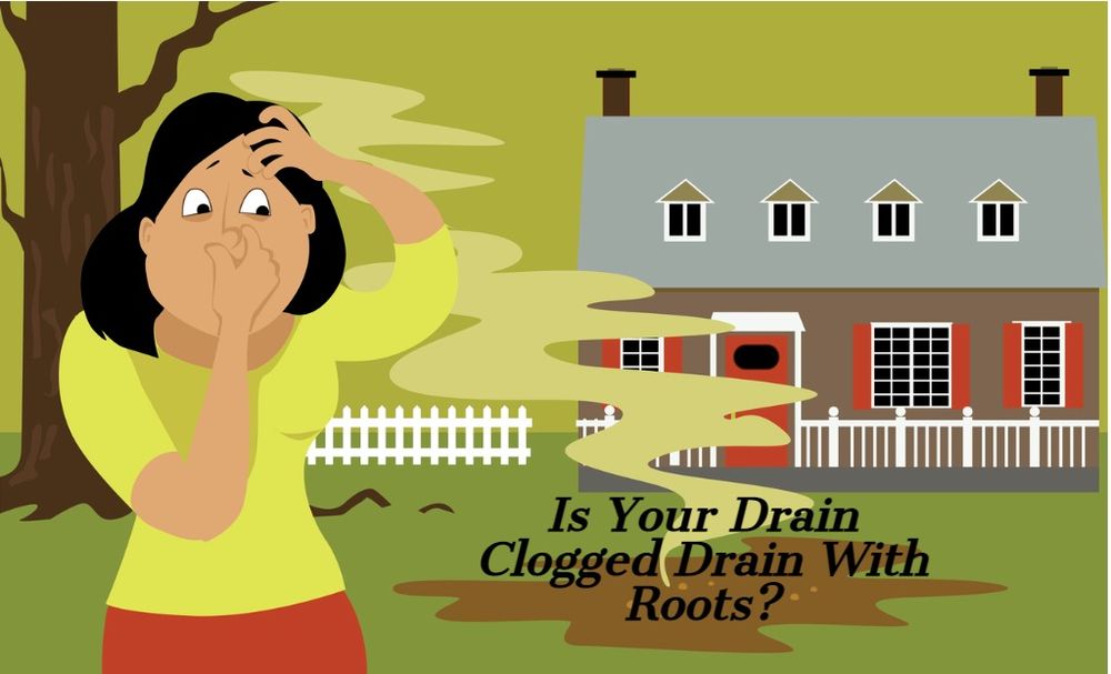 Slide of Flush-It Drain Cleaning & Gutter Drain Clearing Portland