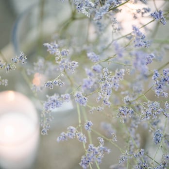 Bella Flora of Dallas - Wedding Planning Near Me - Dallas, Texas Bella Flora of Dallas - Wedding Planning Near Me - Dallas, Texas