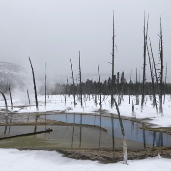 Scenic Safaris - Opal pool - Tours Near Me - Jackson, Wyoming Scenic Safaris - Opal pool - Tours Near Me - Jackson, Wyoming