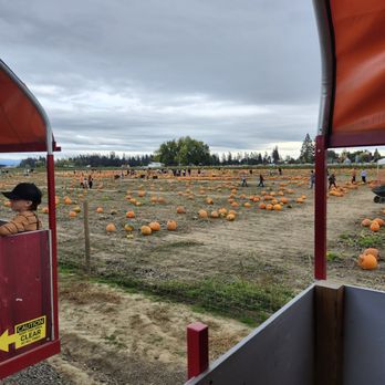 Bauman's Harvest Festival - Pumpkin - Pumpkin Patches Near Me - Gervais, Oregon Bauman's Harvest Festival - Pumpkin - Pumpkin Patches Near Me - Gervais, Oregon
