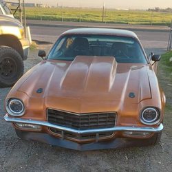 Wild Willys Automotive