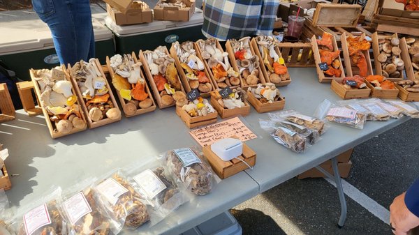 Proctor Farmers' Market by null