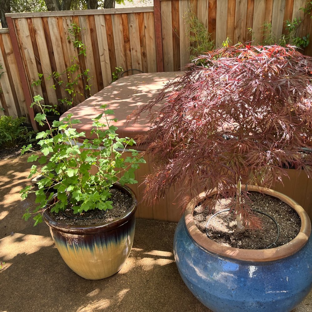 Geared for Growing - Landscaping Near Me - Healdsburg, California Geared for Growing - Landscaping Near Me - Healdsburg, California