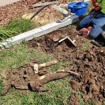 SM Landscaping - Roots destroyed my pipe - Landscaping Near Me SM Landscaping - Roots destroyed my pipe - Landscaping Near Me