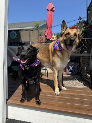 Groomin Tails Pet Salon