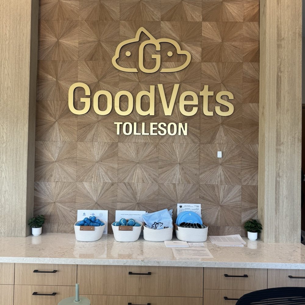 GoodVets Tolleson - Lobby entrance - Veterinarians Near Me - Phoenix, Arizona