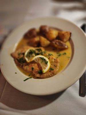 Vitolo by null Vitolo by null