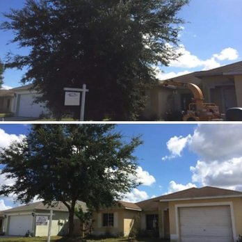 Green Care Tree Service - Green Care Tree Service - Tree Services Near Me Green Care Tree Service - Green Care Tree Service - Tree Services Near Me