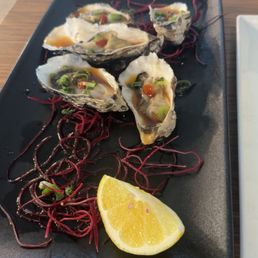 Oyster Half Shell Oyster Half Shell