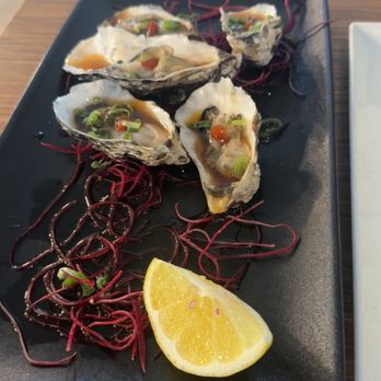 Sushi Yama - Oyster Half Shell - Sushi Bars Near Me - Escondido, California Sushi Yama - Oyster Half Shell - Sushi Bars Near Me - Escondido, California