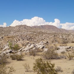 Rockview Nature Park