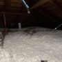 CoreLine Insulation