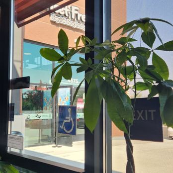 Pho Ao Sen - Vietnamese Near Me - Livermore, California Pho Ao Sen - Vietnamese Near Me - Livermore, California