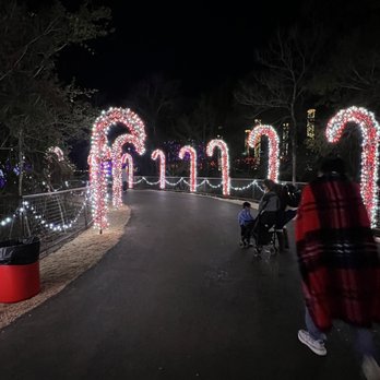 Santa's Wonderland - Candy Cane Forest with a paved pathway - Amusement Parks Near Me - College Station, Texas Santa's Wonderland - Candy Cane Forest with a paved pathway - Amusement Parks Near Me - College Station, Texas